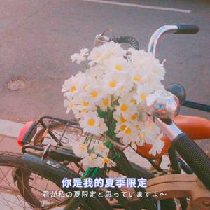 亚洲无码国产1区2区
