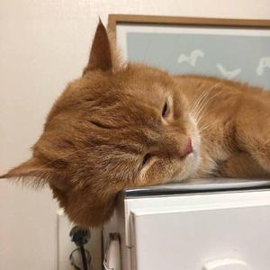 亚洲无码国产1区2区
