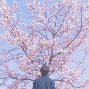 亚洲无码国产1区2区
